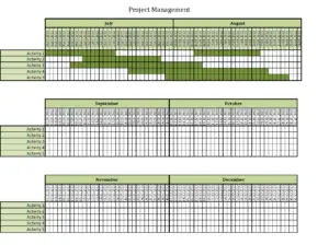 Project management with Excel templates