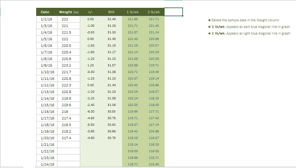 Weight Loss Spreadsheet Template Excel from www.excel-template.net