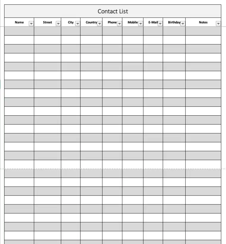 Contact List with Filter Function (Screenshot of Excel Template)